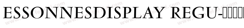 ESSONNESDISPLAY REGU字体转换